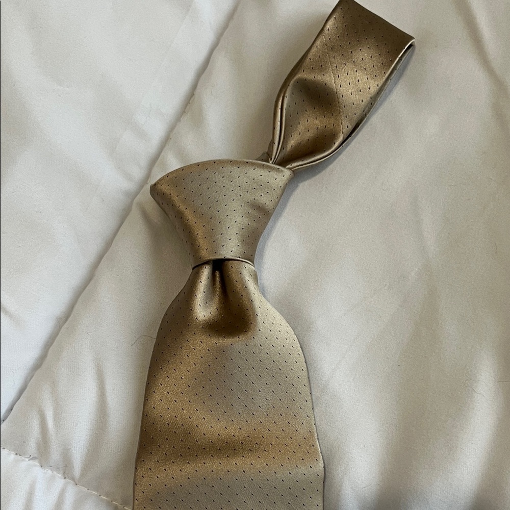 Stefano Ricci Elegant Beige Silk Men's Tie